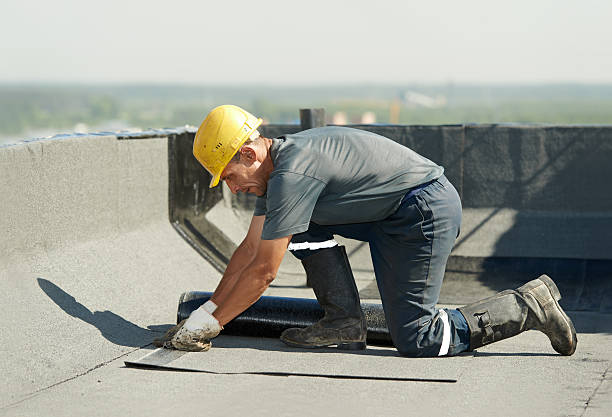 Best Geographic-Specific Insulation Services in Orange Cove, CA